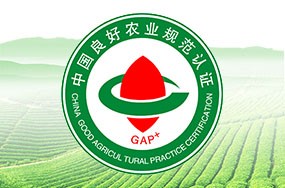 中国良好农业规范GAP认证
